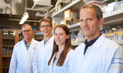 Why Antibiotics Fail